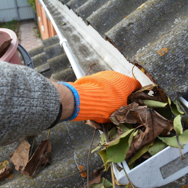 Pressure washing and cleaning services in Frisco, TX Pressure washing and cleaning services in Frisco, TX