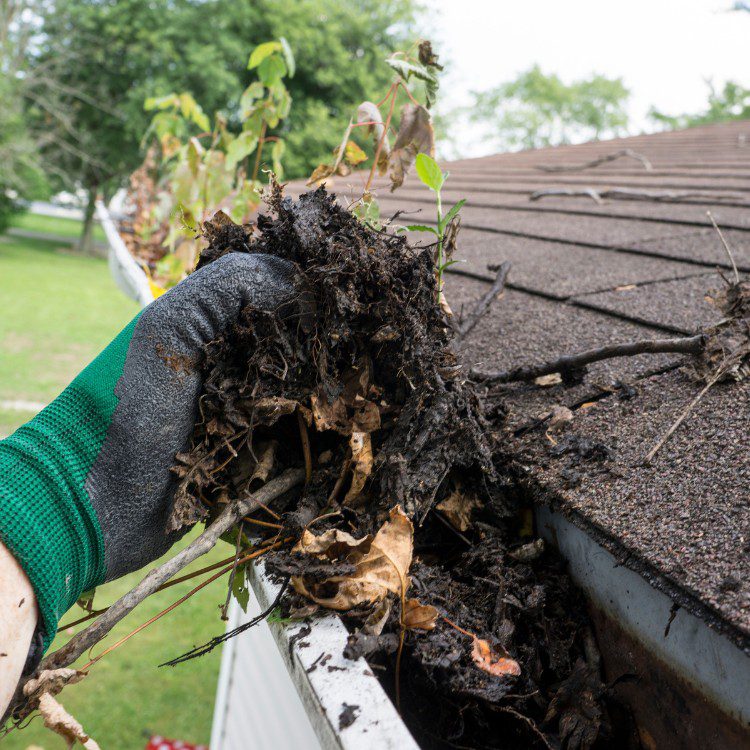 Pressure washing and cleaning services in Frisco, TX