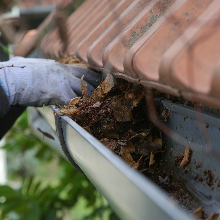 Pressure washing and cleaning services in Frisco, TX
